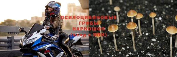 мдпв Краснослободск