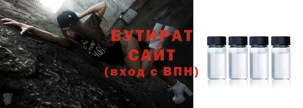 мдпв Краснослободск