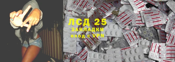 мдпв Краснослободск