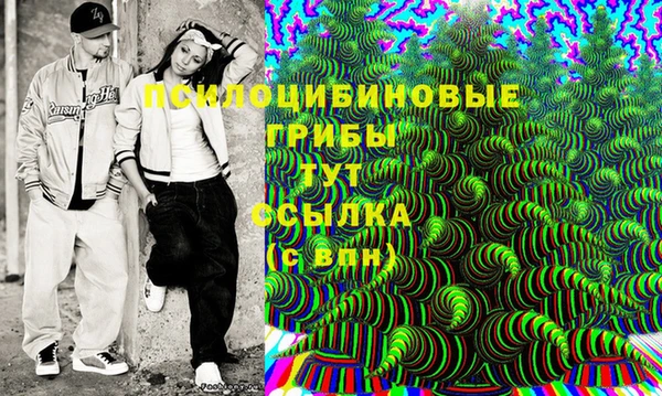 ешки Тайга