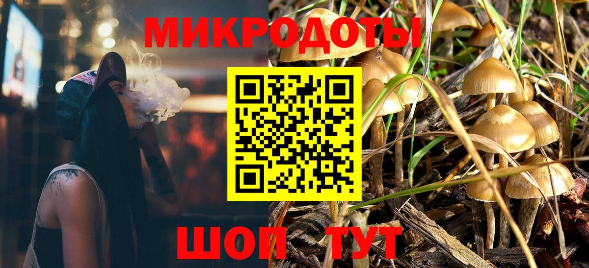 Псилоцибиновые грибы Cubensis Брянск